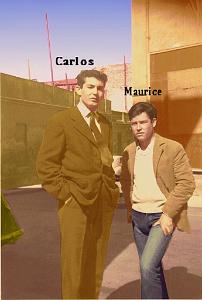 AMIS CM